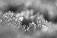 Ice formations on a frost...
