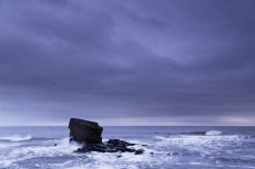 Charley's Garden Rock, a sea stack in Triassic Sandstone, Seaton Sluice, near Whitley Bay, Tyneside, England, UK, December