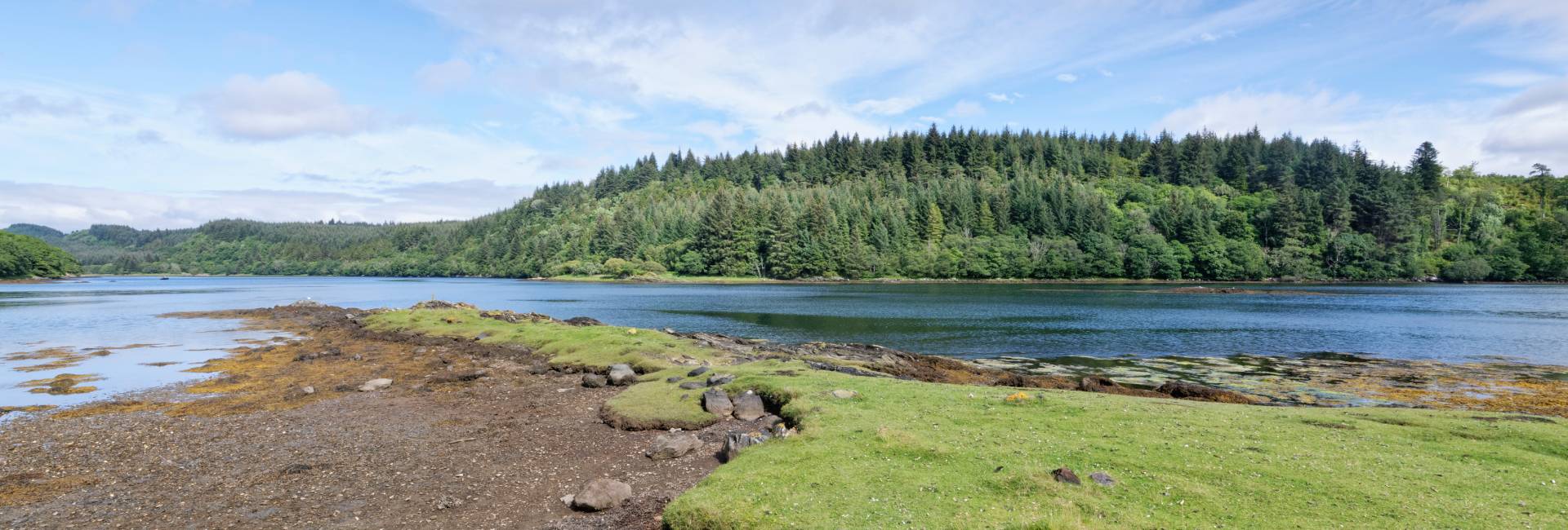 Grassy shore of Caol Scotnish, an arm of Loch Sween, near its northern limit, near Tayvallich, Argyll and Bute, Scotland, UK, July 2024