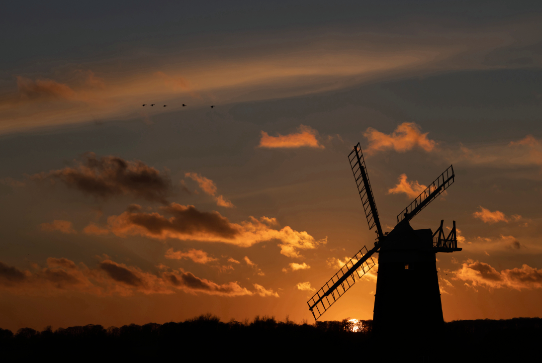Pink-footed goose Anser brachyrhynchus five birds flying above a windmill at sunset, Norfolk, England, UK, January