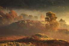 Autumn mist and light on ...