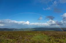 Landscape view of heather moorland and rainbow, Exmoor National Park, Somerset, England, UK, July